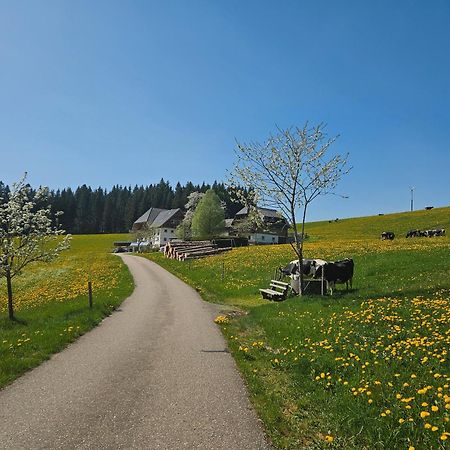 Lorenzenhaeusle ทิทิเซ-นอยชตัดท์ ภายนอก รูปภาพ