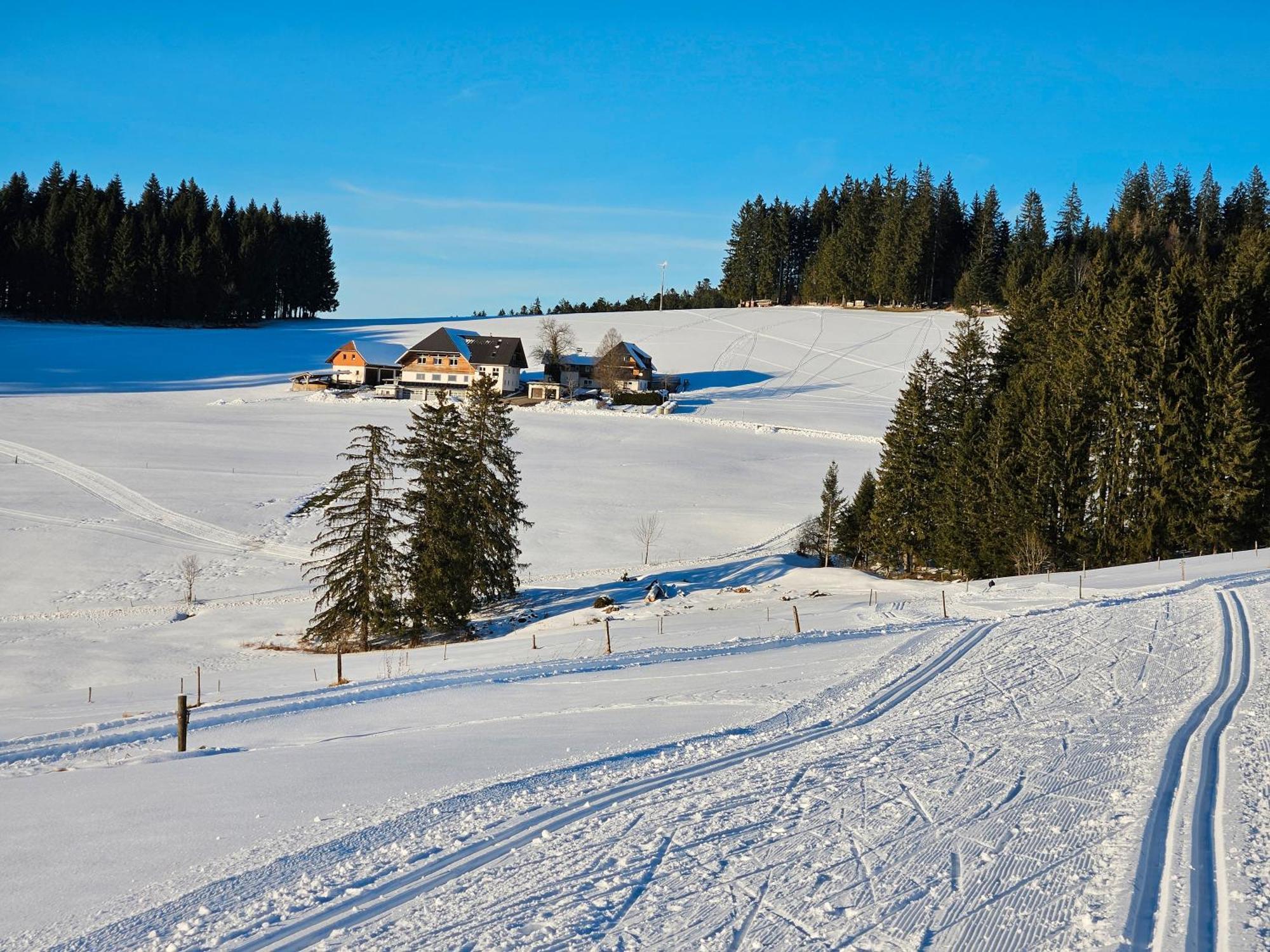 Lorenzenhaeusle ทิทิเซ-นอยชตัดท์ ภายนอก รูปภาพ