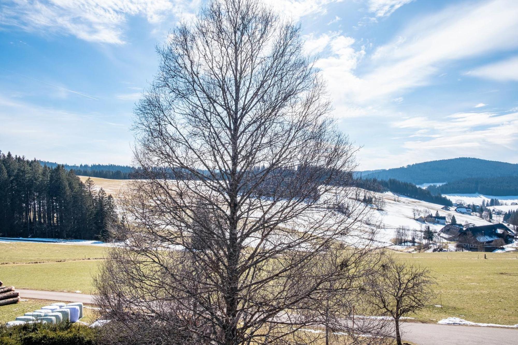 Lorenzenhaeusle ทิทิเซ-นอยชตัดท์ ภายนอก รูปภาพ
