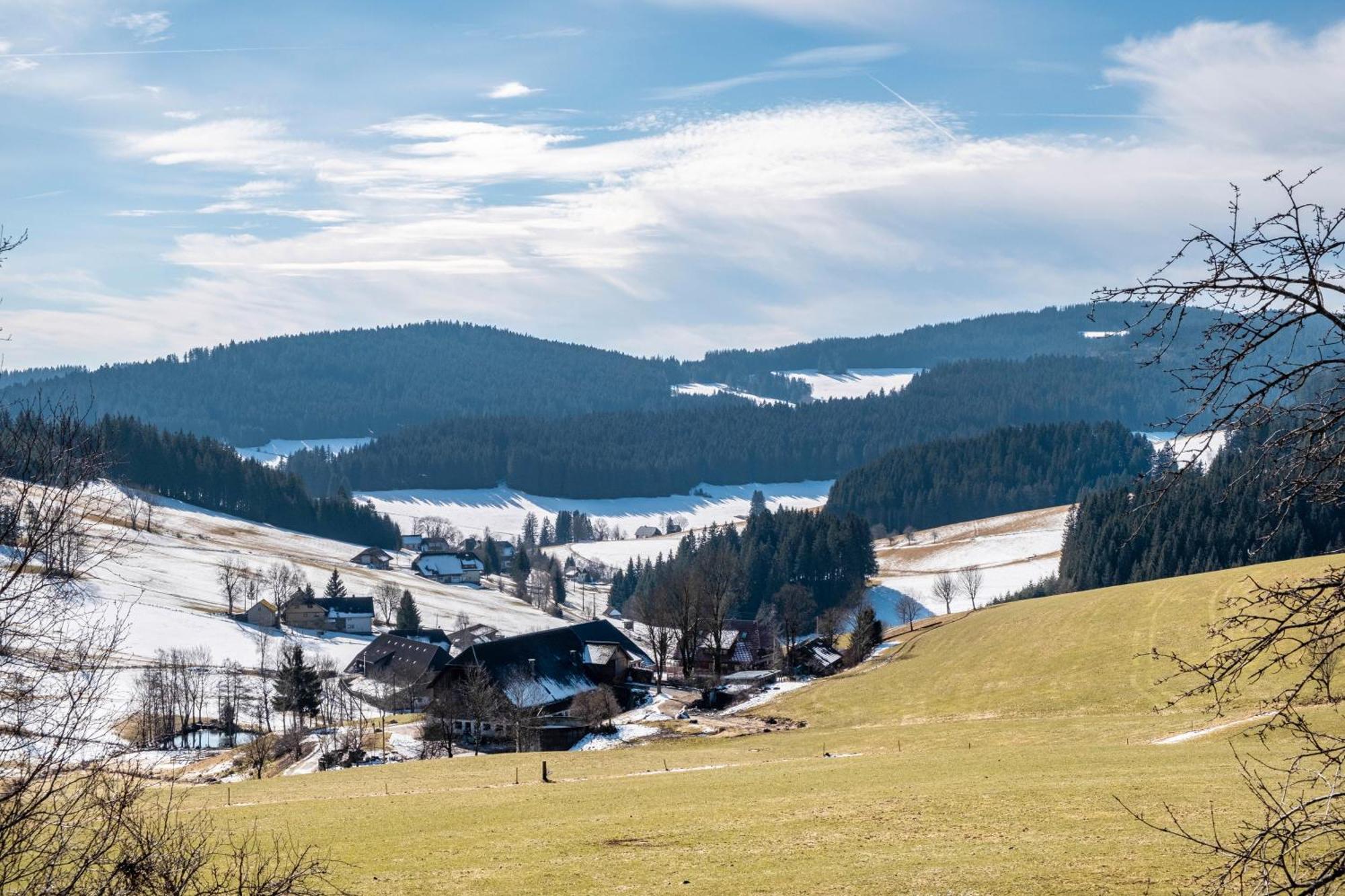 Lorenzenhaeusle ทิทิเซ-นอยชตัดท์ ภายนอก รูปภาพ