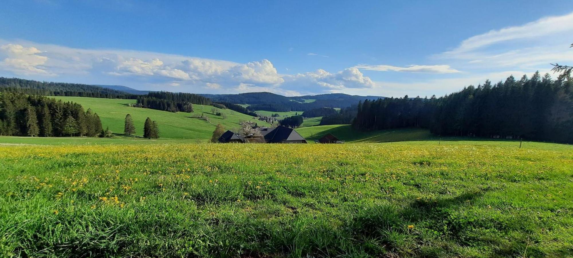 Lorenzenhaeusle ทิทิเซ-นอยชตัดท์ ภายนอก รูปภาพ