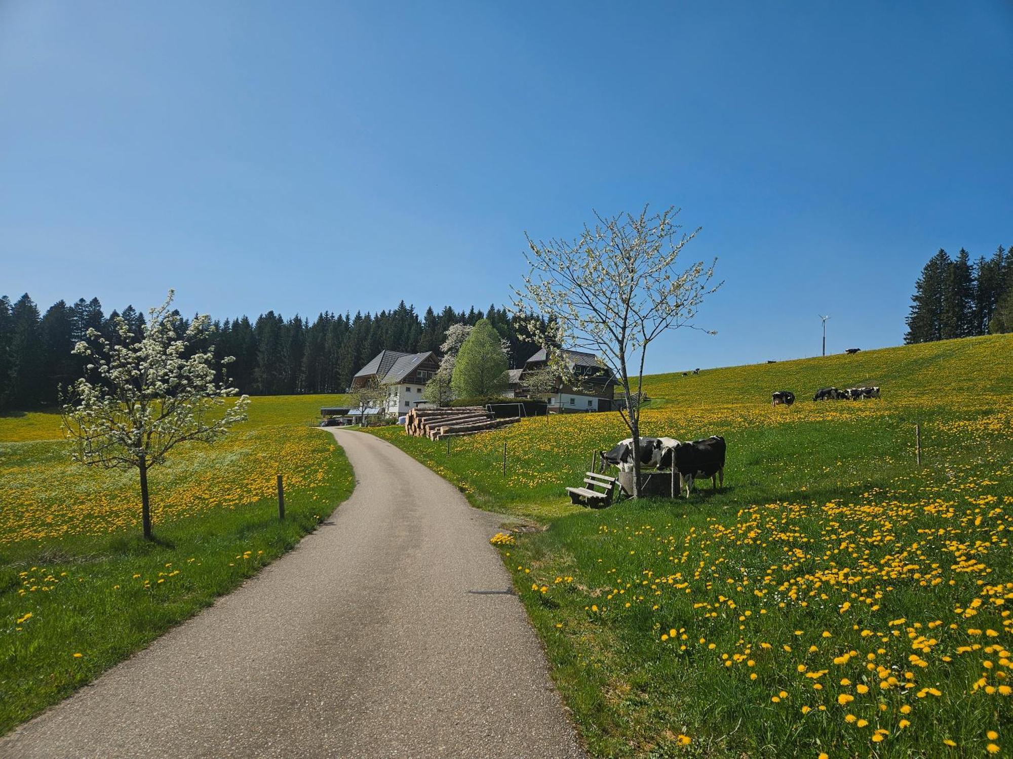 Lorenzenhaeusle ทิทิเซ-นอยชตัดท์ ภายนอก รูปภาพ